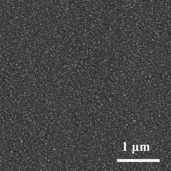 Preparation method of nitrogenous graphene quantum dot composite particles with controlled structure and fluorescence