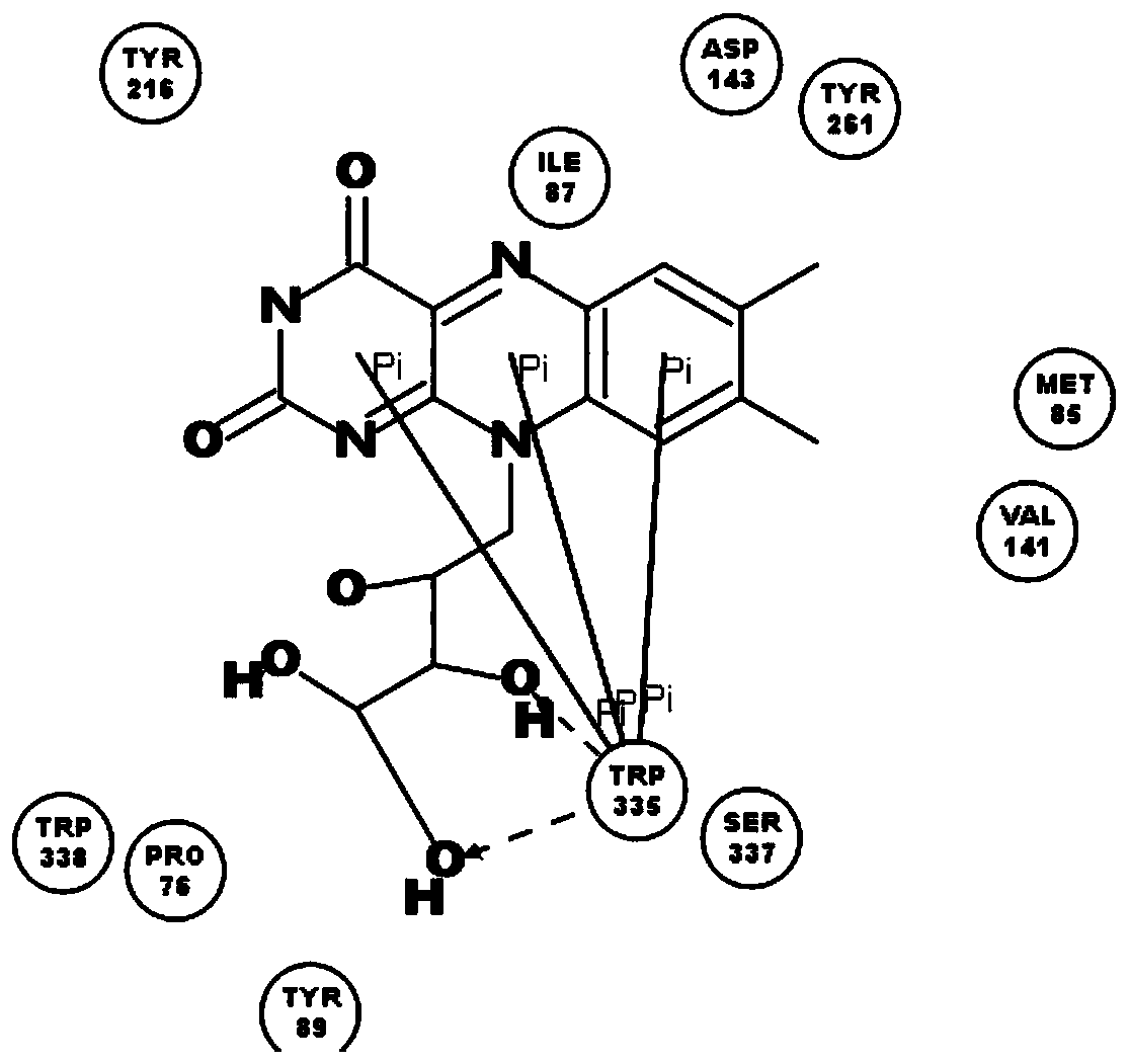 Crosslinking hyaluronic acid gel resisting hydrolysis of hyaluronidase