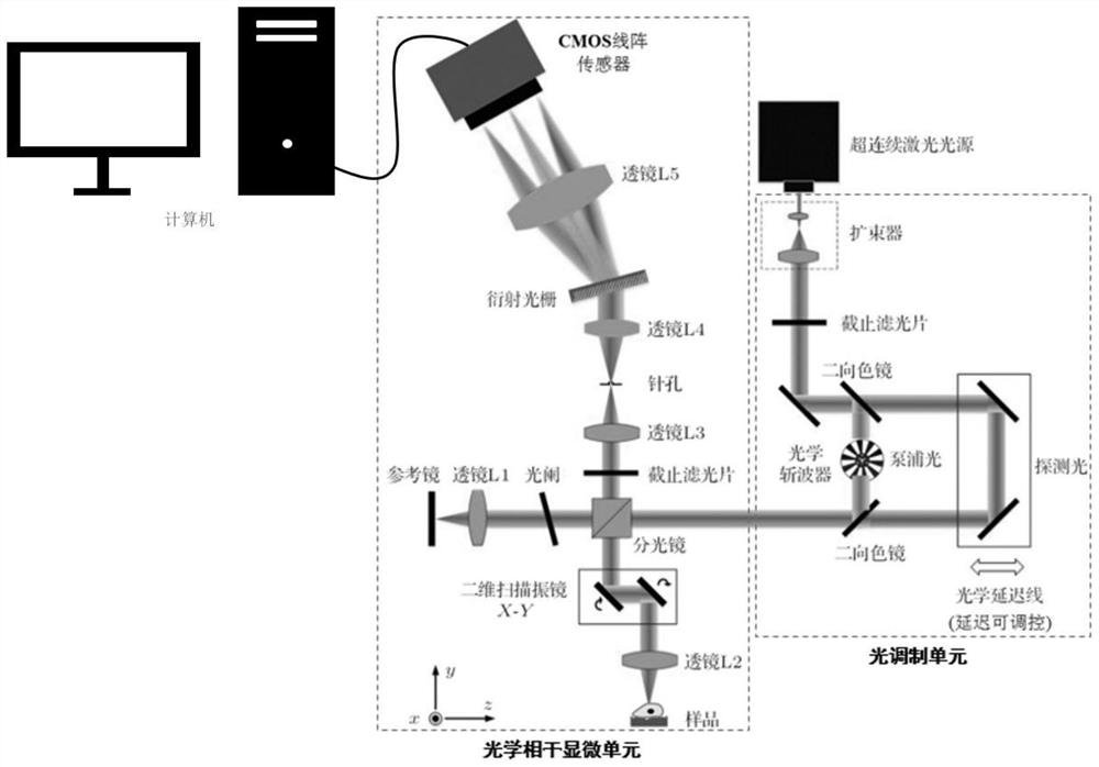 Time-resolved optical biological detection equipment based on broadband stimulated radiation and detection imaging method thereof