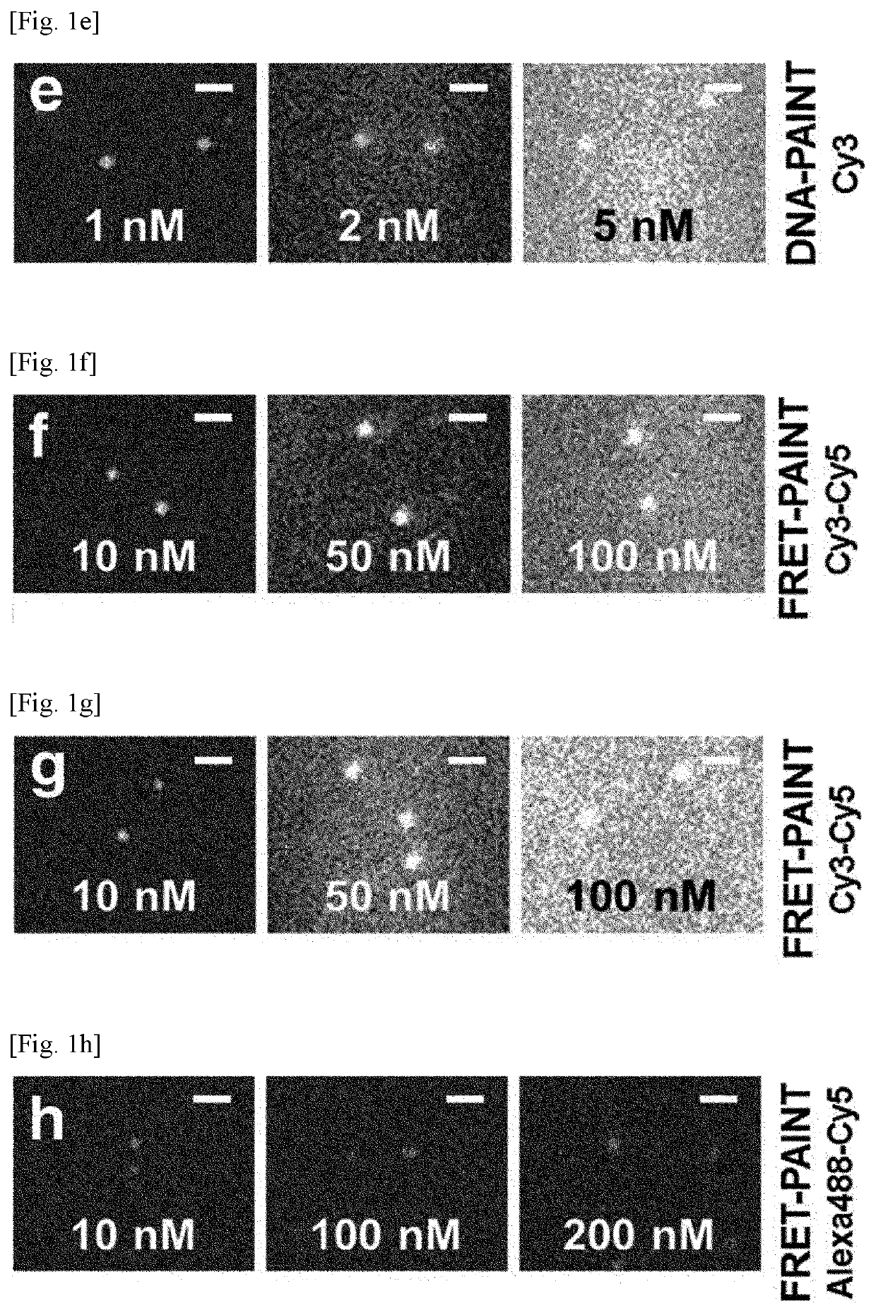 Ultrasensitive method for multiplexed detection of biomarkers