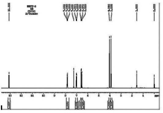 Preparation method of total flavone from natural plant