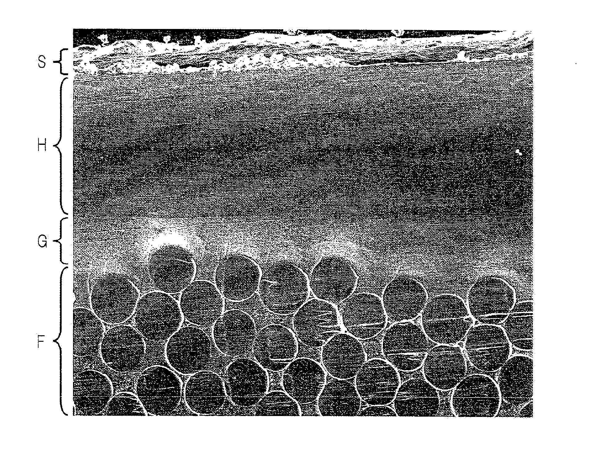Hollow weave fabric for an air bag and method of producing the same