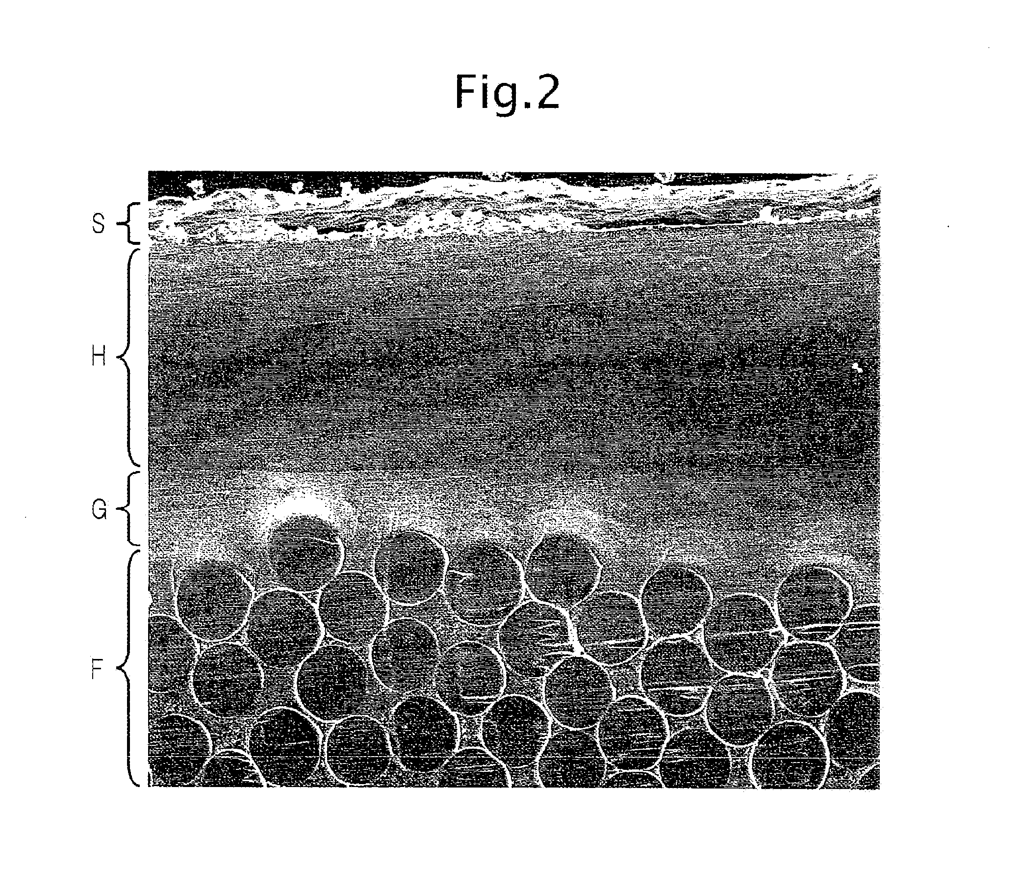 Hollow weave fabric for an air bag and method of producing the same