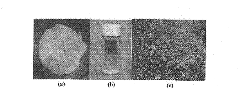 Method for manufacturing a porous three-dimensional support using powder from animal tissue, and porous three-dimensional support manufactured by same