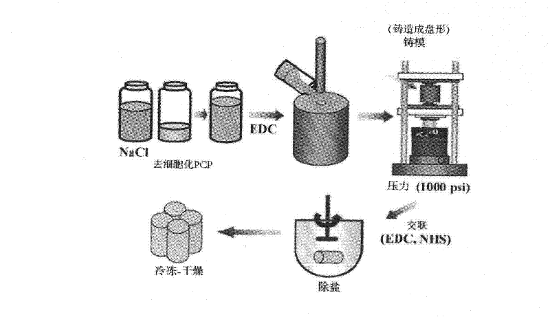 Method for manufacturing a porous three-dimensional support using powder from animal tissue, and porous three-dimensional support manufactured by same