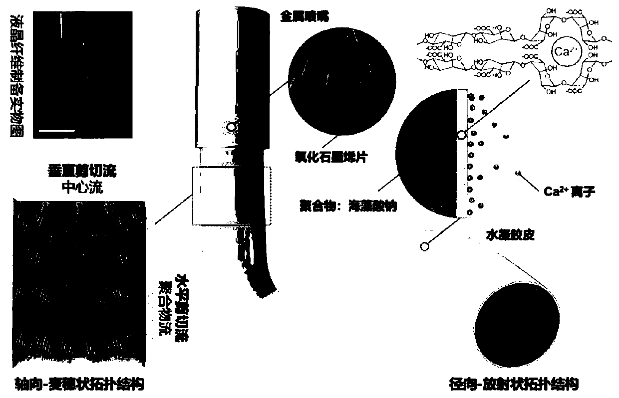 Method for preparing chiral reverse graphene liquid crystal through nanofluid rectification