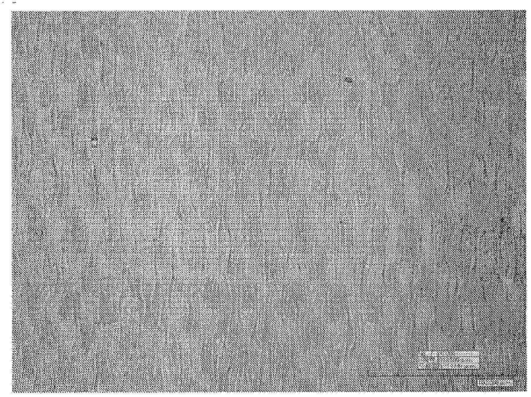 Sheet having uneven pattern formed thereon and method for production thereof