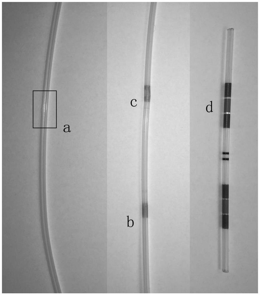 A preparation method of polytetrafluoroethylene tube ribbon coating and polytetrafluoroethylene tube