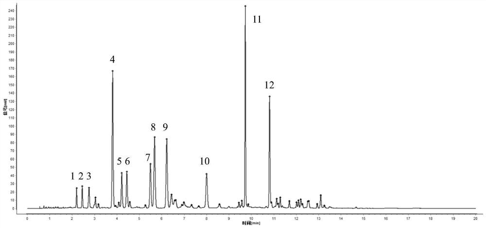 Ginkgo leaf flavone extract as well as preparation method and characteristic spectrum construction method thereof