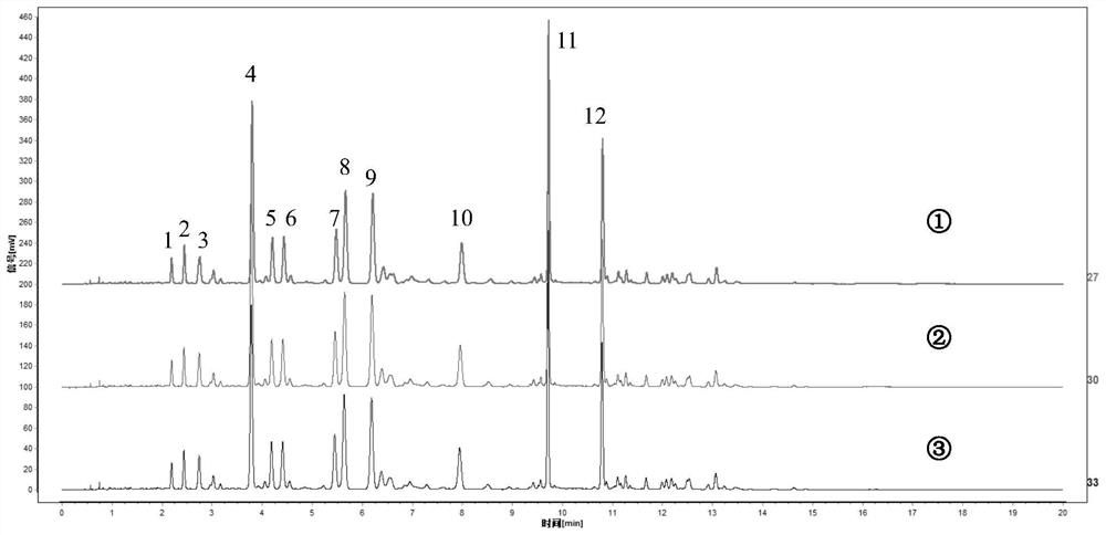 Ginkgo leaf flavone extract as well as preparation method and characteristic spectrum construction method thereof