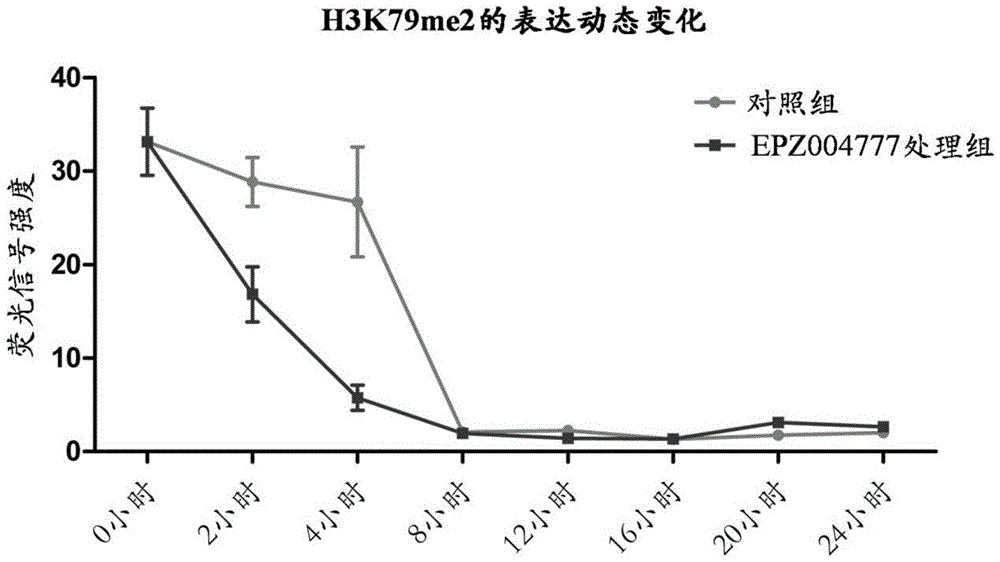 A culture medium for promoting in vitro development of porcine somatic cell cloned embryos