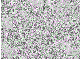 Heat-resistant abrasion-resistant double-phase stainless steel casting alloy material