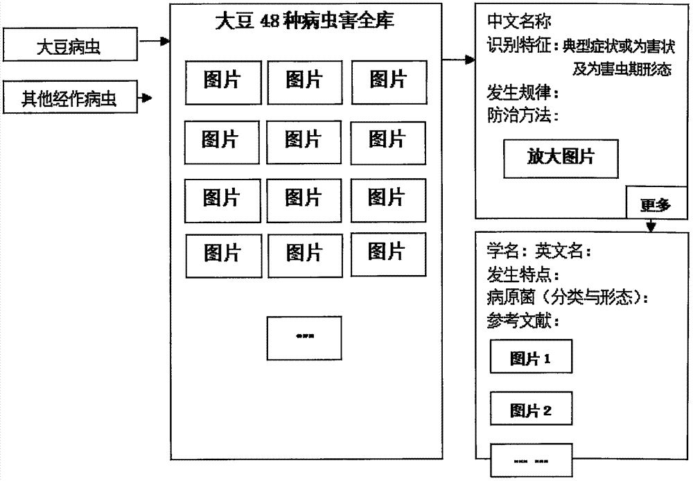 Diagnosis and treatment expert system of cash crop diseases and insect pests