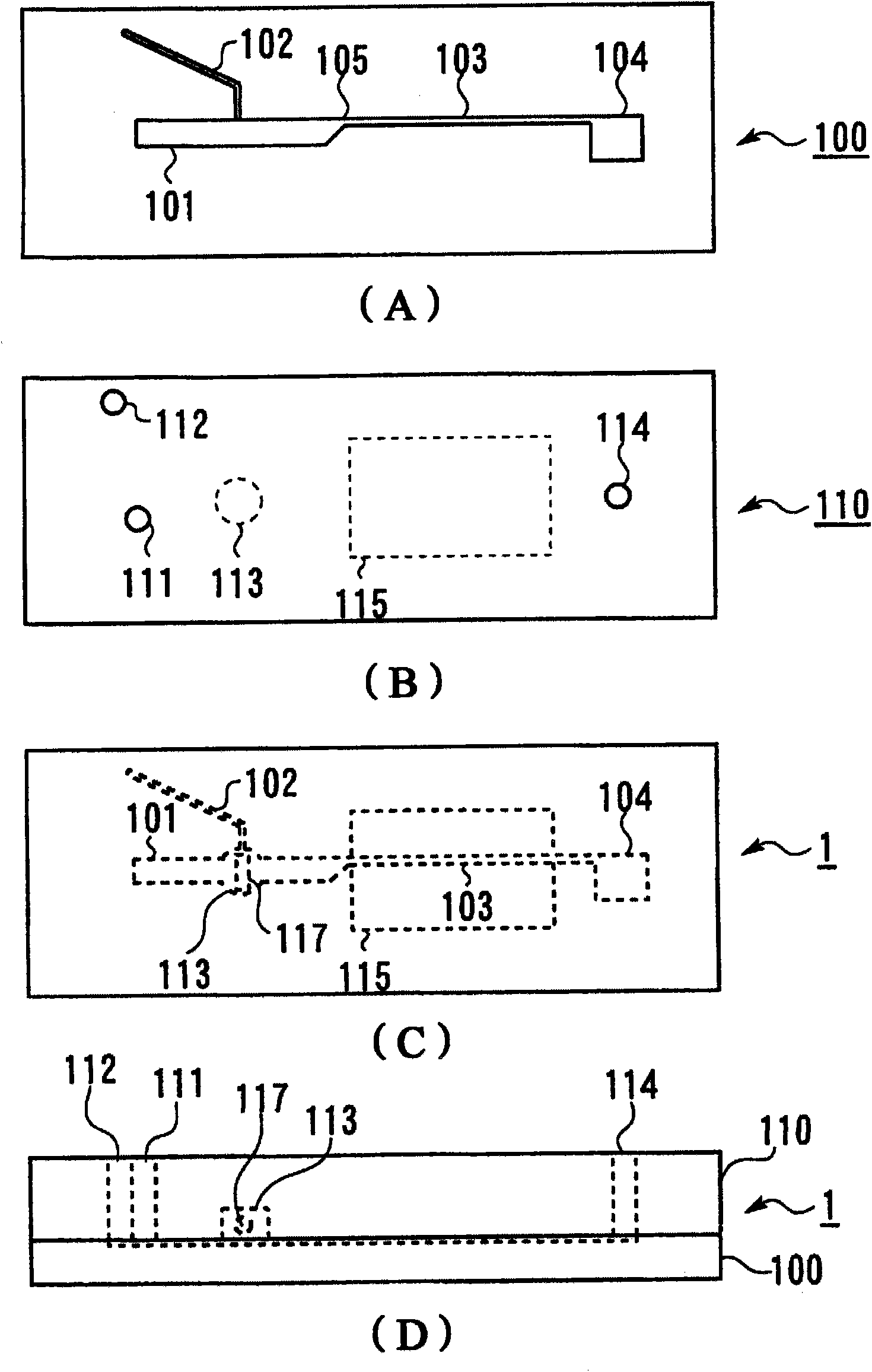 Microchip and blood monitoring device