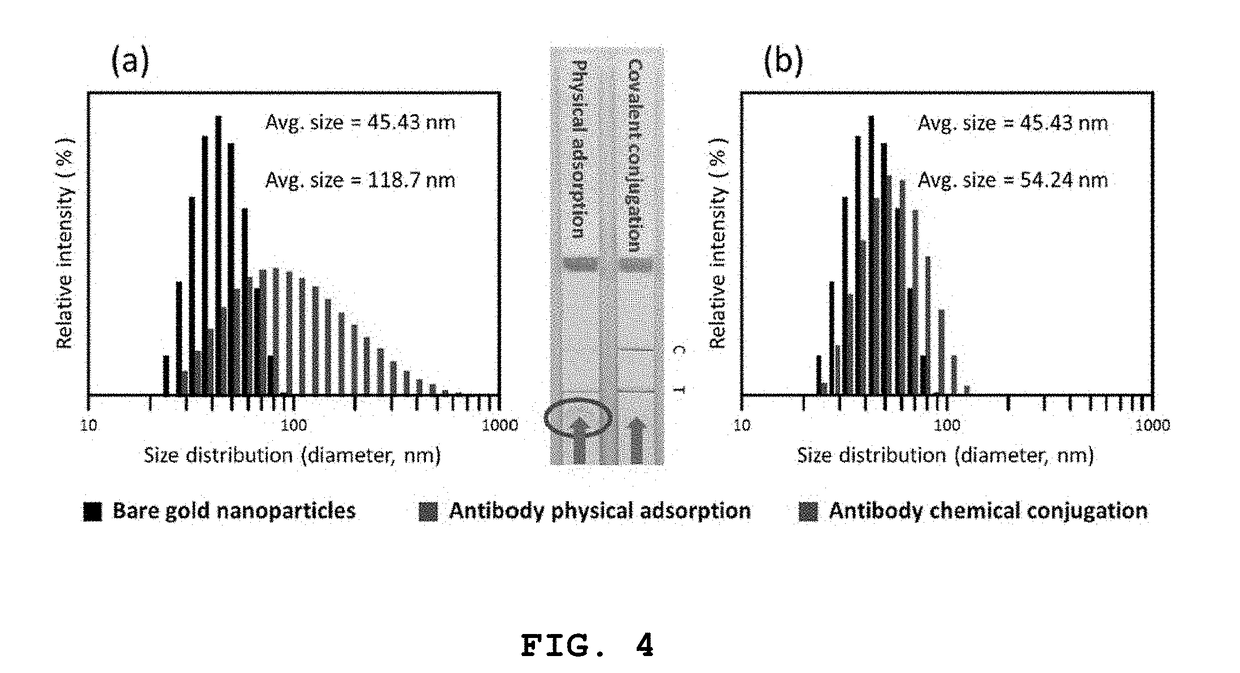 High-sensitivity lateral flow immunoassay strip based on surface-enhanced raman scattering and detection method using the same