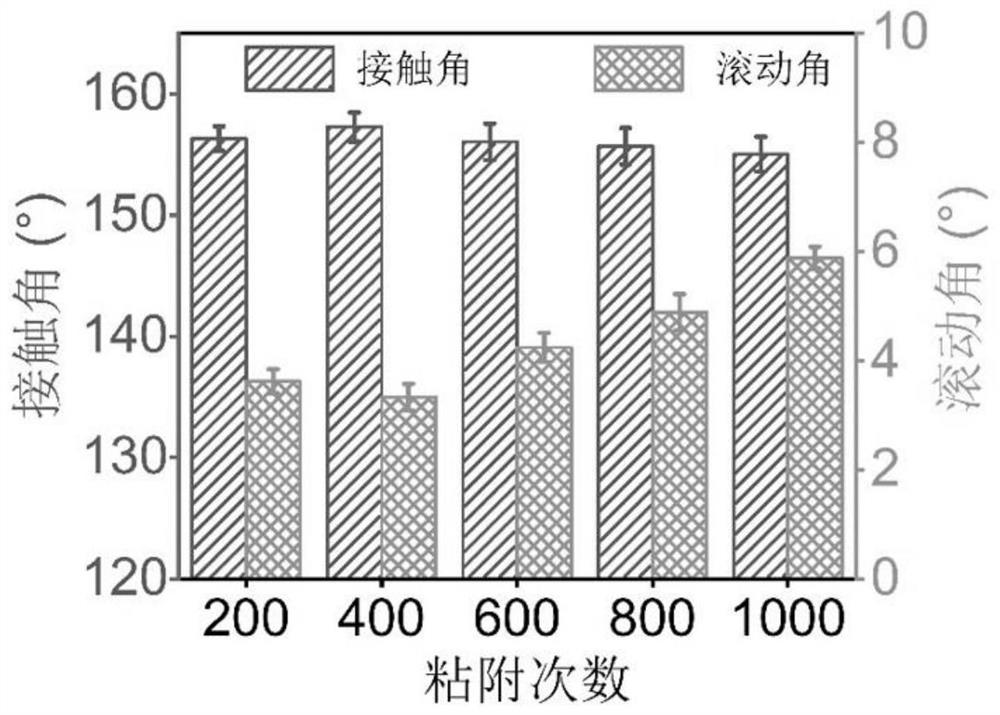 High-robustness lotus-leaf-imitating structure super-hydrophobic coating as well as preparation method and application thereof