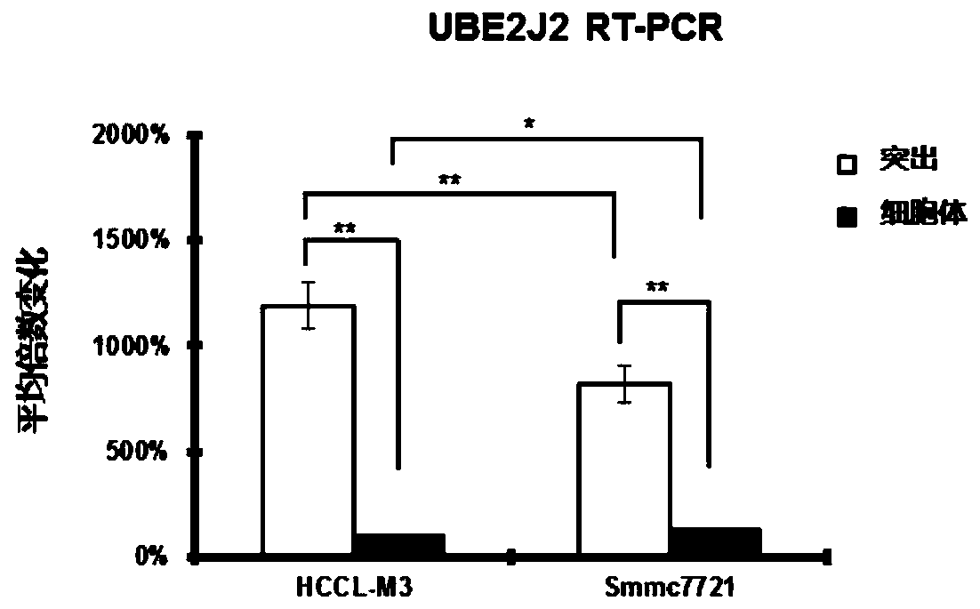 Liver cancer early diagnosis reagent or kit and application