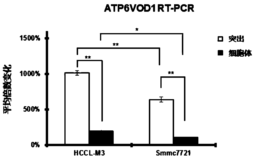 Liver cancer early diagnosis reagent or kit and application