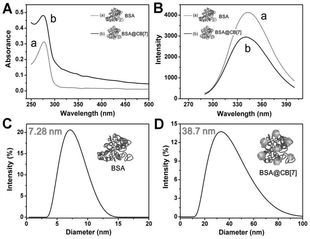 A tumor-targeted drug carrier and its preparation method and application