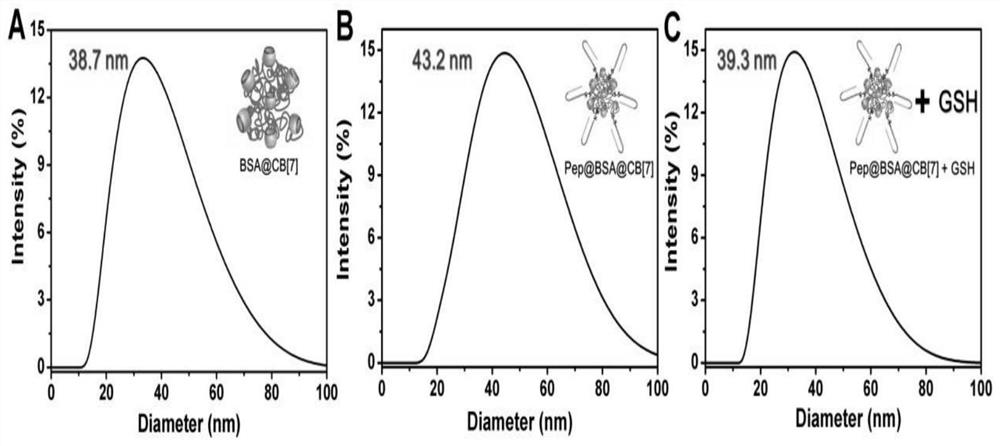 A tumor-targeted drug carrier and its preparation method and application