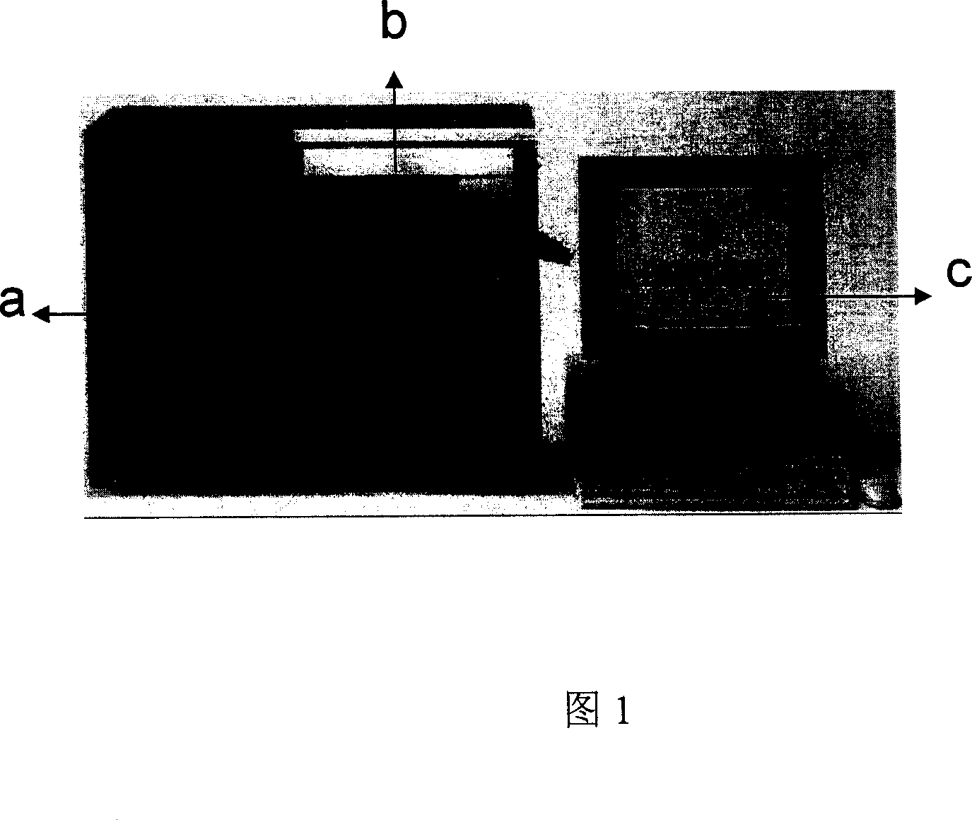 Reversible fixture for aglucon of streptavidin envelope chip surface