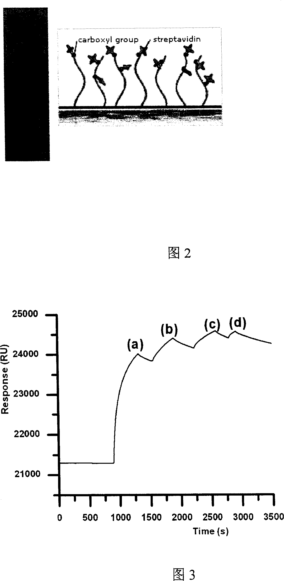 Reversible fixture for aglucon of streptavidin envelope chip surface