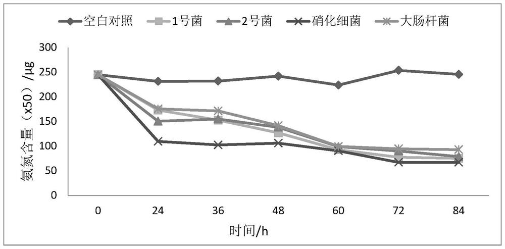 Microbial denitrification method for high-salt sewage