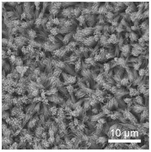 A kind of bifunctional cobalt diselenide material and its preparation and application