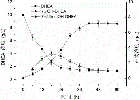 Method of utilizing coenzyme regeneration and resin in-situ extraction to promote hydroxylation of DHEA by Colletotrichum lini ST-1