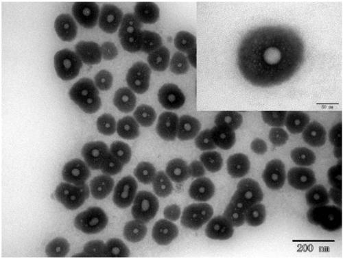 Light sensitive material/calcium alginate core-shell nanocapsule dispersoid and preparation method thereof