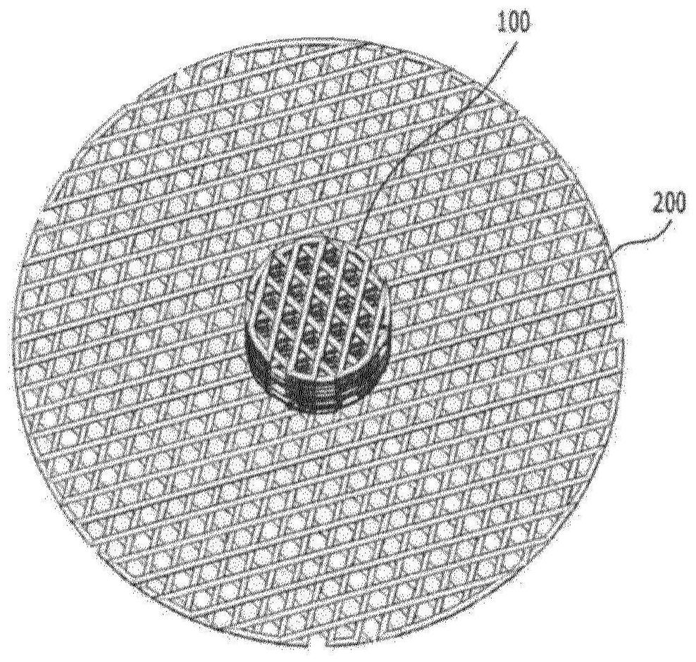 Implant for reconstruction of nipple-areola complex, and method for producing same