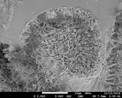 A kind of hydrogenation protection catalyst and preparation method thereof