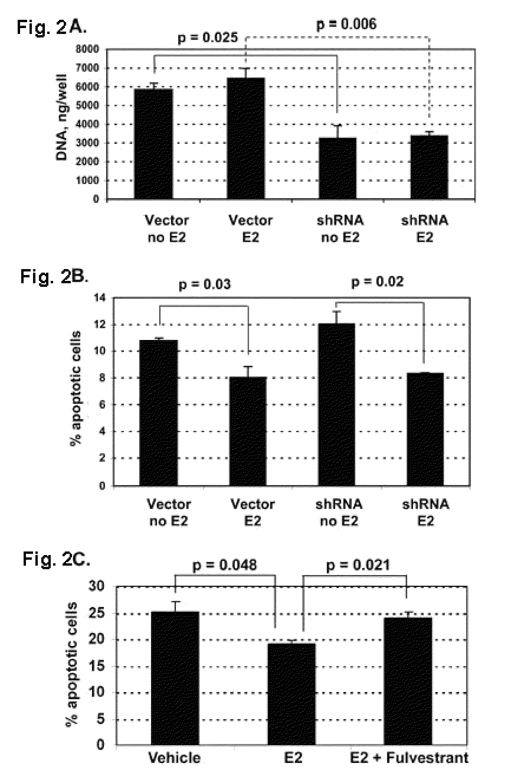 Targeting of CYP1B1 in the treatment of head and neck cancer and lung cancer