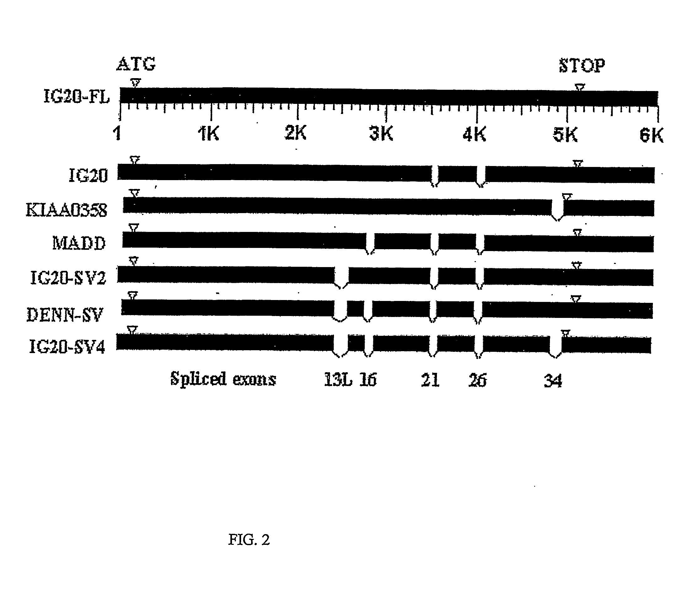 Methods and Compositions of Ig20 and Denn-Sv Splice Variants