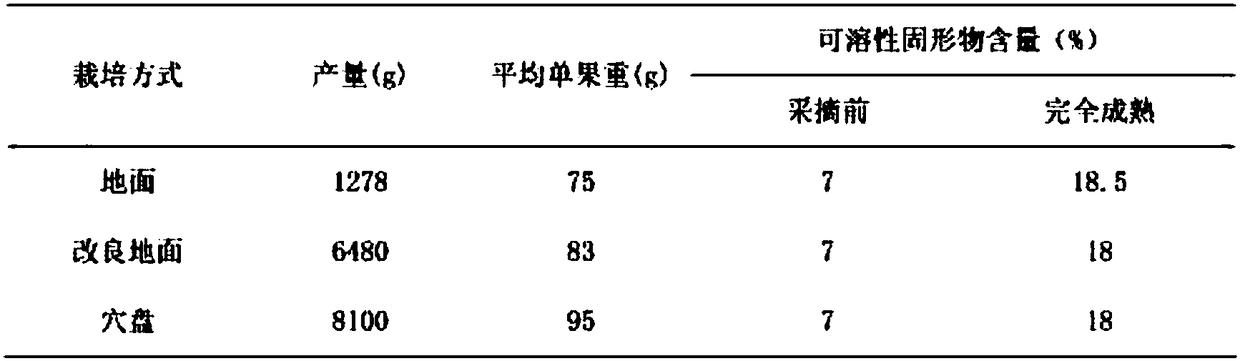 Cultivation method of kiwifruit in unsuitable area