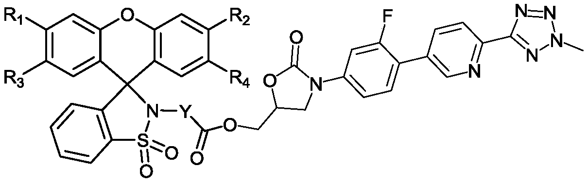 Tedizolid antibiotic tracing fluorescent probe and application thereof