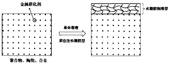 A method for preparing a hydrophilic lubricating coating on the surface of a material