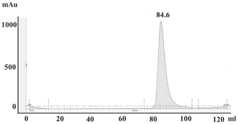 Application of PLpro protein inhibitor in medicine for treating or preventing novel coronavirus infection