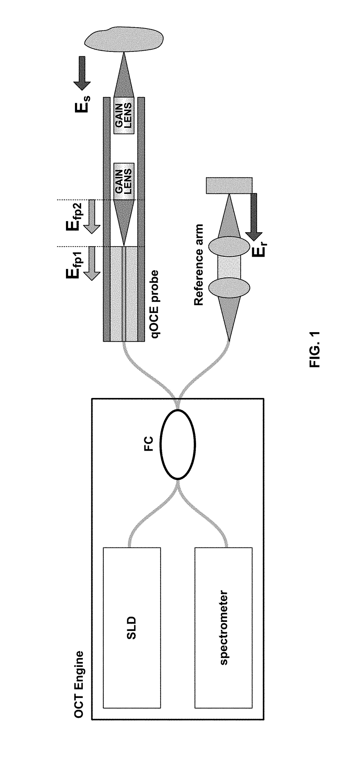 Optical coherence elastography