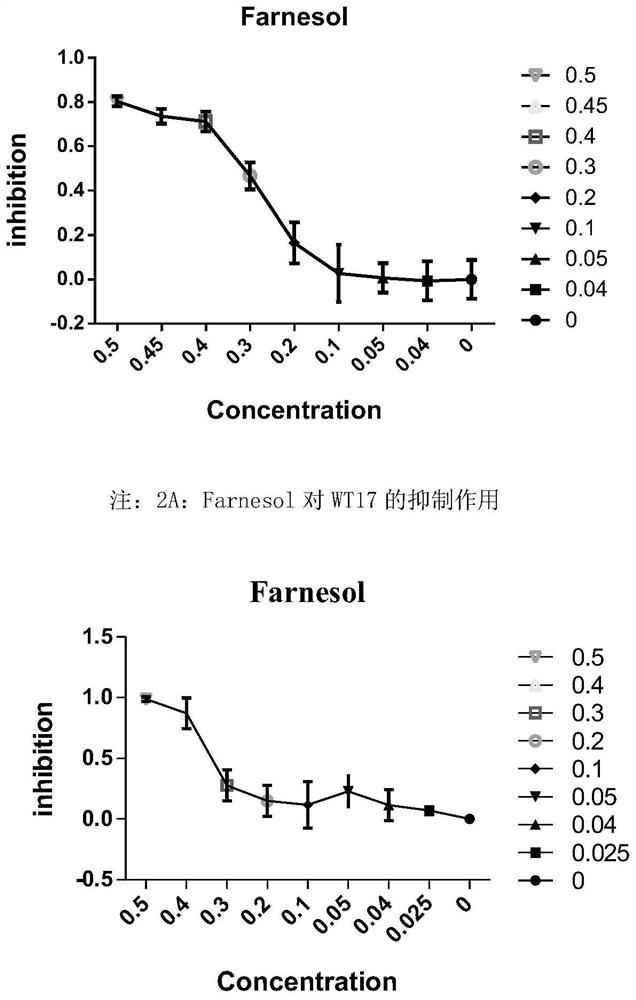 The use of farnesol in the prevention and treatment of smut