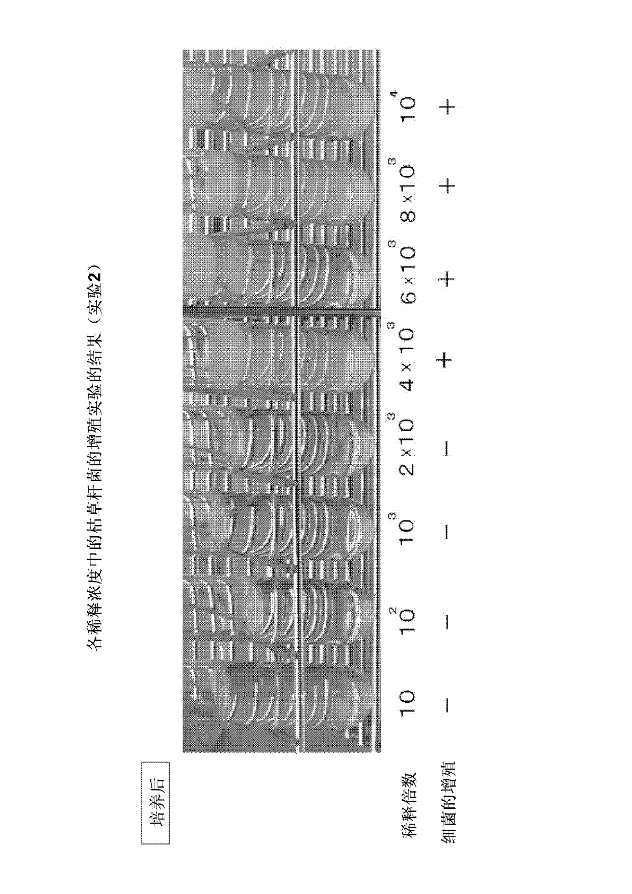 Deodorant solution and preparation method and preparation kit thereof