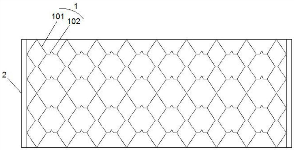 Iron-based alloy degradable aorta stent for treating infant aortic constriction