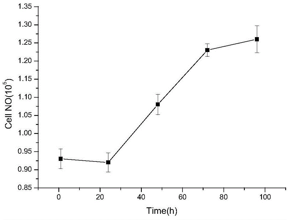 Proliferation method of siniperca chuatsi infectious spleen and kidney necrosis virus (ISKNV)