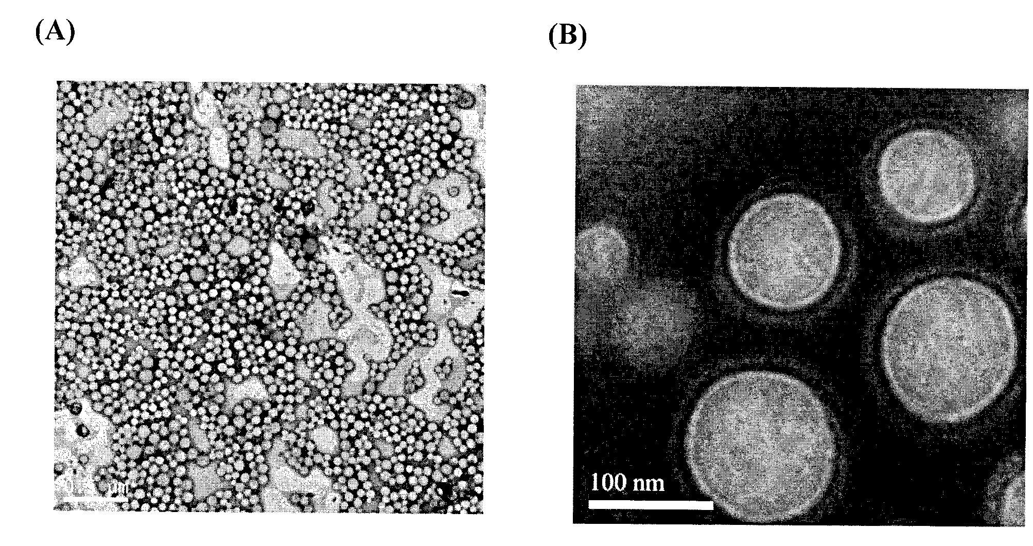 Preparation method and application of nanometer particles of taxane drugs
