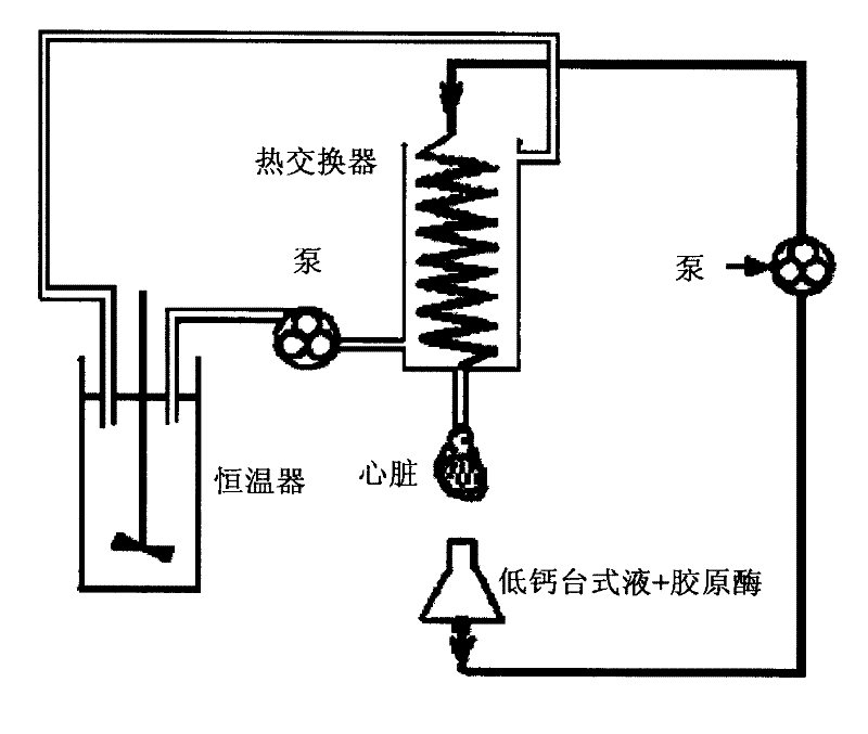 Application of Chinese medicine composition in preparing medicament for adjusting cardiac muscle cell potassium ion channel