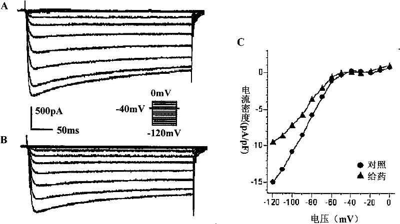 Application of Chinese medicine composition in preparing medicament for adjusting cardiac muscle cell potassium ion channel