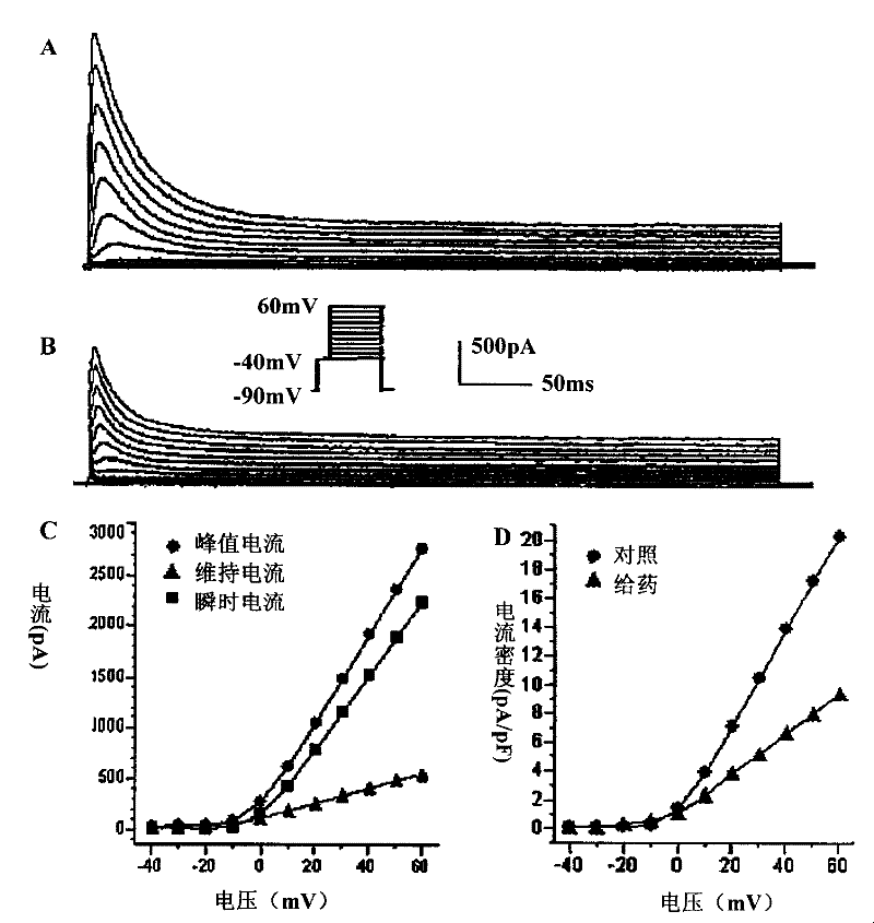 Application of Chinese medicine composition in preparing medicament for adjusting cardiac muscle cell potassium ion channel