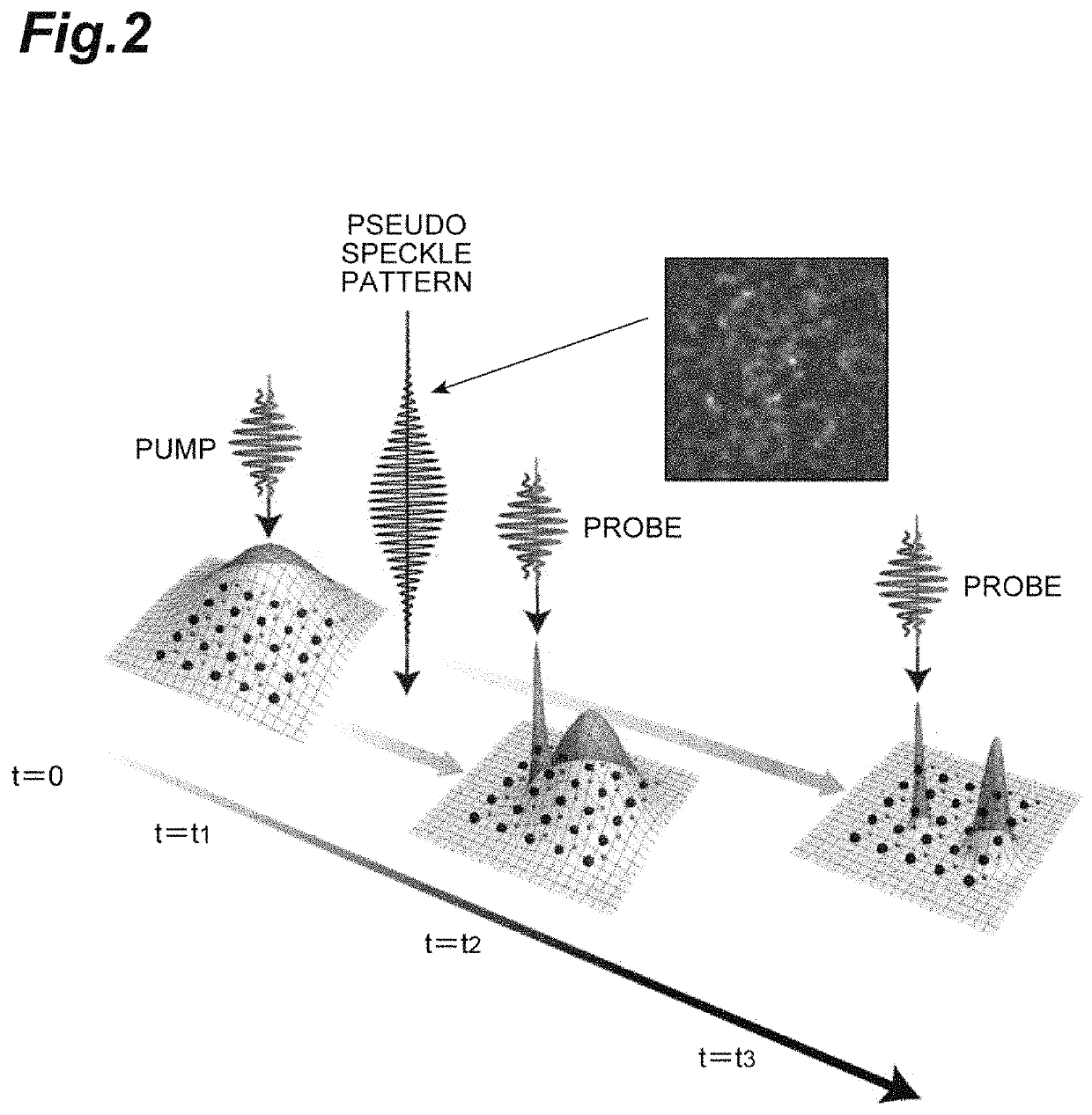 Quantum simulator and quantum simulation method