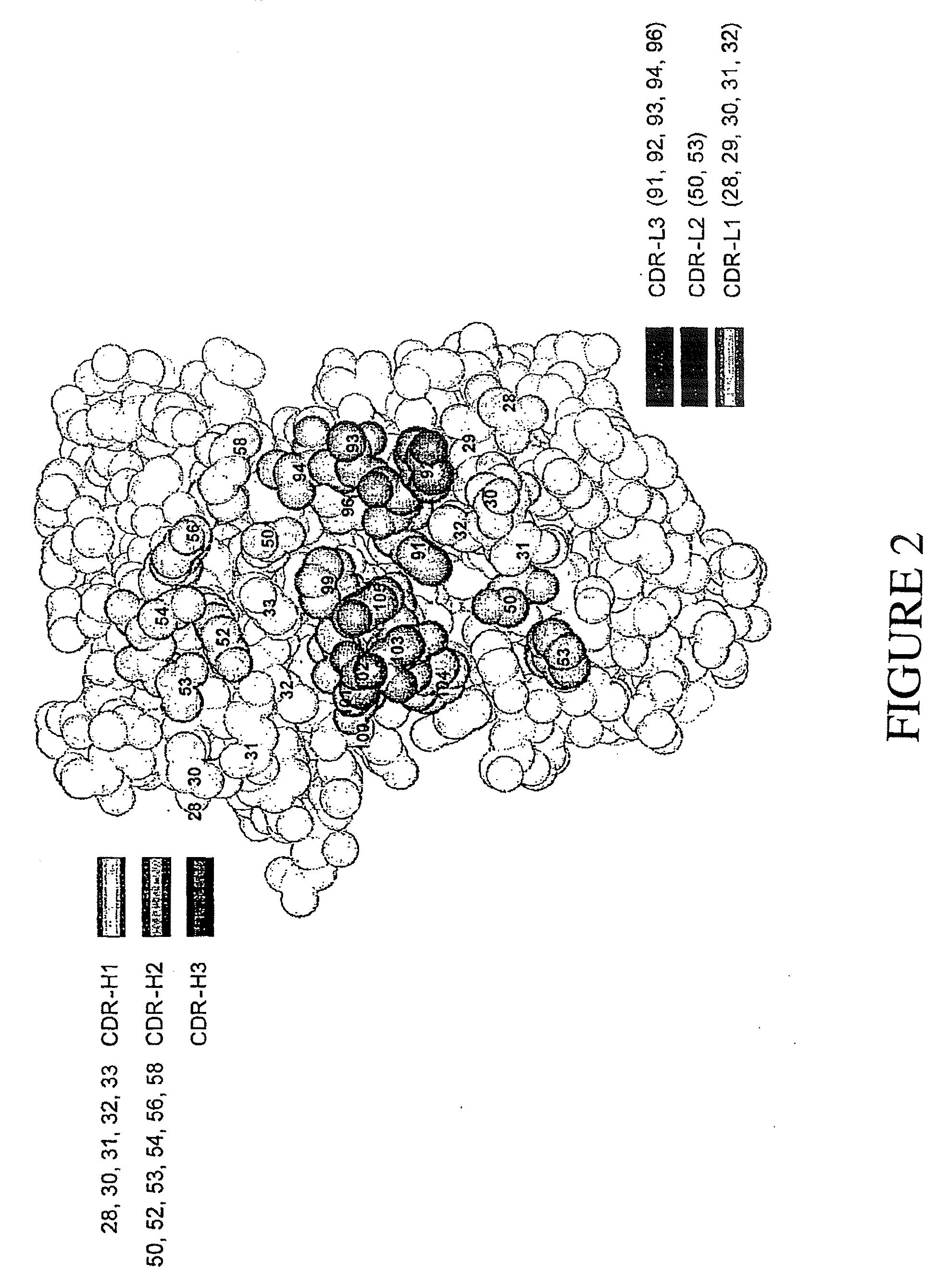 Binding Polypeptides and Uses Thereof