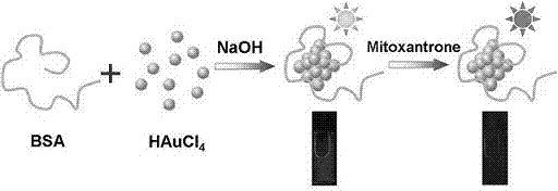 Method for detecting mitoxantrone based on luminous gold nanocluster